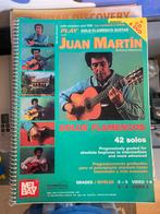 Juan Martin Flamenco gitaar, Ophalen of Verzenden, Zo goed als nieuw, Les of Cursus, Gitaar