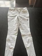 Samshield wedstrijdbroek maat 38, Dieren en Toebehoren, Dames, Onderkleding, Ophalen of Verzenden, Springen