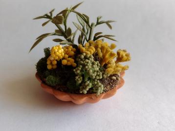 ronde keramische plantenbak met planten / miniatuur beschikbaar voor biedingen