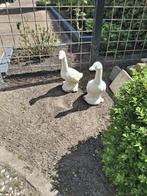 Betonnen ganzen, Tuin en Terras, Tuinbeelden, Ophalen