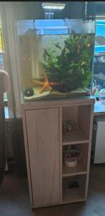 Mooi klein aquarium met kast wit/grijs eikenprint, Ophalen, Zo goed als nieuw, Leeg aquarium