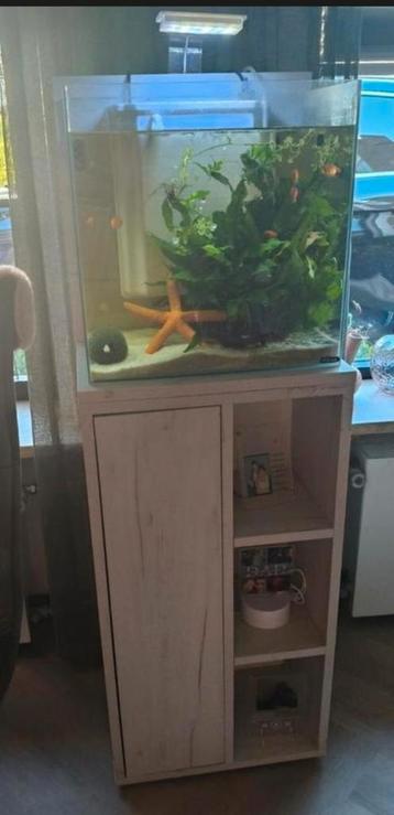 Mooi klein aquarium met kast wit/grijs eikenprint beschikbaar voor biedingen