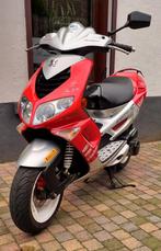 Peugeot Speedfight 2 Rally victories 2007 - Mooie scooter!, Fietsen en Brommers, Brommers | Tomos, Ophalen of Verzenden, Gebruikt