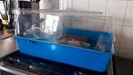 Hamsterkooi en spullen., Dieren en Toebehoren, Knaagdieren en Konijnen | Hokken en Kooien, Kooi, Minder dan 75 cm, Zo goed als nieuw