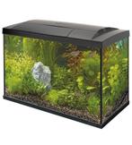 Aquarium incl. Lamp en pomp, Dieren en Toebehoren, Ophalen, Gebruikt