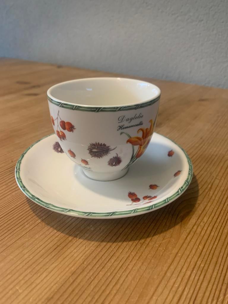 JBS Janneke Brinkman kop en schotel - November 2009, Ophalen, Gebruikt, Porselein, Kop en/of schotel