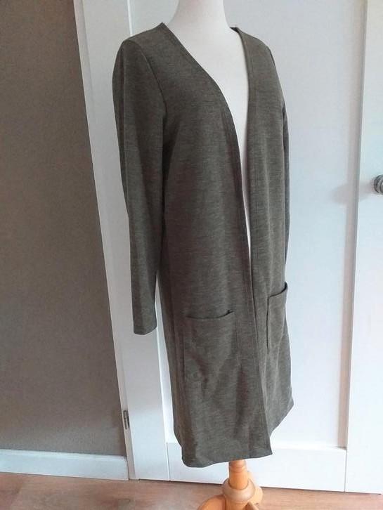 nieuw vest FOS Amsterdam  Maat S groengrijs, Kleding | Dames, Truien en Vesten, Nieuw, Groen, Ophalen of Verzenden