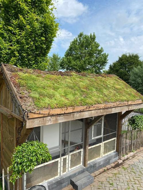 sedummat (1,2m2) per rol, Doe-het-zelf en Verbouw, Dakpannen en Dakbedekking, Nieuw, Overige typen, Overige materialen, Overige kleuren