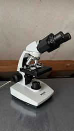 Novex-B microscoop, Ophalen, Zo goed als nieuw, 400x tot 1000x, Biologische microscoop