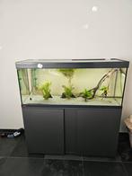 Aquarium 240ltr Eheim vivaline led set met filter, Ophalen, Zo goed als nieuw, Leeg aquarium