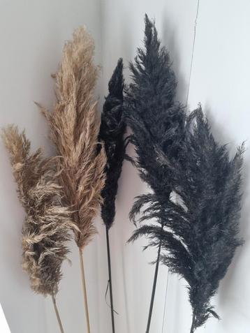 Decoratieve Pluimen - Goud & Zwart - Set van 5 beschikbaar voor biedingen