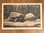 Sieben Steinhäuser bij Fallingbostel. Hunebed, Ophalen of Verzenden, Voor 1920, Ongelopen, Duitsland
