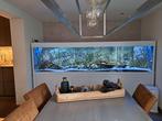 Zeer mooi 3 meter aquarium, Dieren en Toebehoren, Gebruikt, Ophalen of Verzenden, Gevuld zoetwateraquarium
