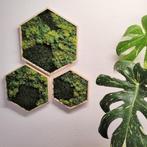 Handgemaakte hexagon mosschilderijen - Setje van drie, Ophalen of Verzenden, Nieuw