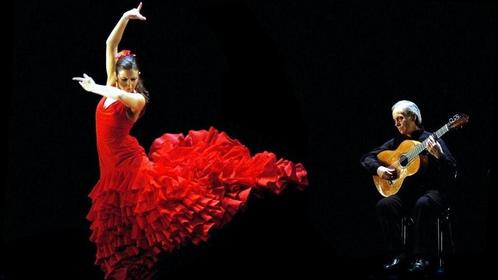 Flamenco Den Haag 2 tickets, Tickets en Kaartjes, Overige Tickets en Kaartjes