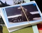 Jumbo Diergaarde Blijdorp plaatjes, Jumbo, Ophalen of Verzenden