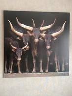 Watusi koeien kunstobject 120x120cm, Antiek en Kunst, Ophalen