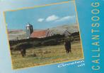 CALLANTSOOG kerk met Paarden Groeten, Verzamelen, Verzenden, 1980 tot heden, Gelopen, Noord-Holland