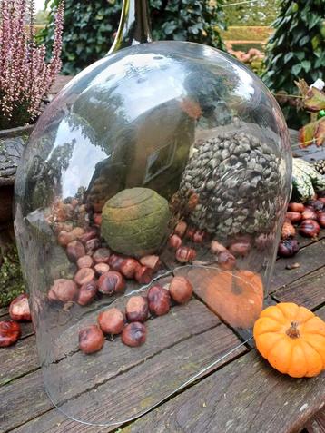 Oude Franse Cloche/Stolp - Brocante Kerst beschikbaar voor biedingen