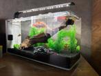 Compleet aquarium zonder vissen, Dieren en Toebehoren, Vis, Zoetwatervis