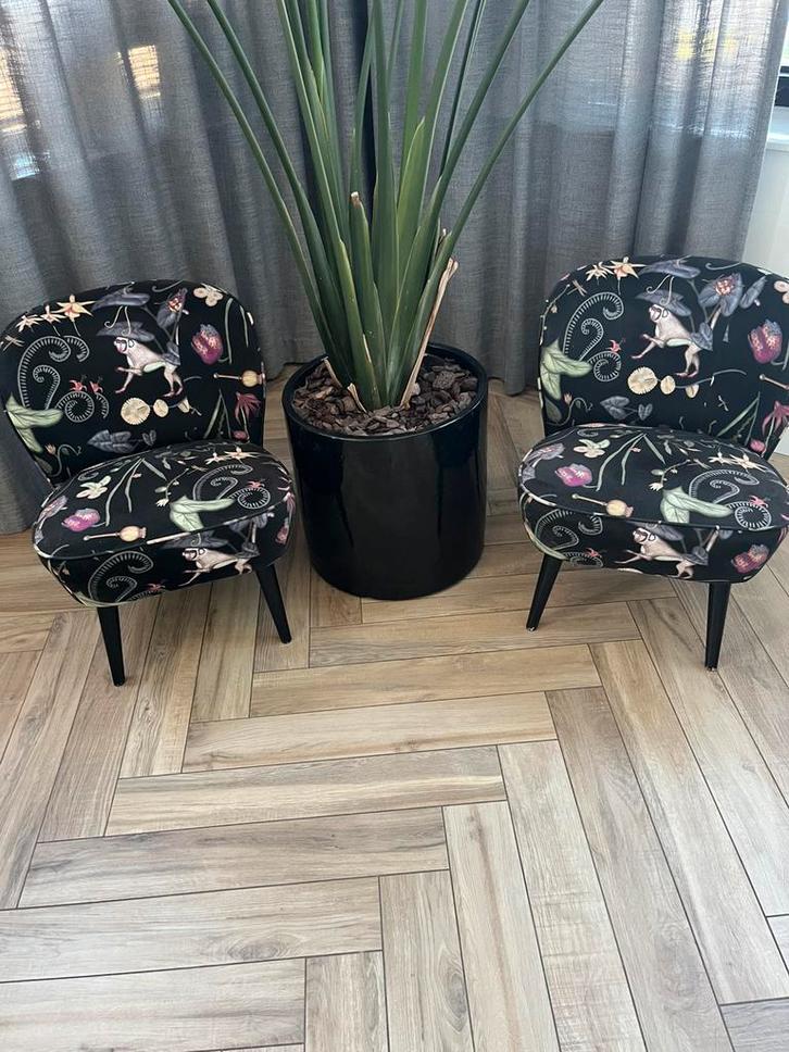 Sissy Boy stoeltjes velvet zwart/donkergroen, Huis en Inrichting, Stoelen, Gebruikt, Twee, Stof, Zwart, Ophalen