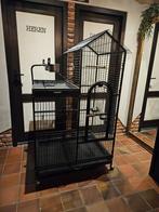 Vogelkooi/papagaaienkooi, Ophalen, Zo goed als nieuw, Metaal, Vogelkooi