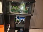 Compleet aquarium met meubel, Dieren en Toebehoren, Vissen | Aquaria en Toebehoren, Ophalen of Verzenden, Zo goed als nieuw, Leeg aquarium