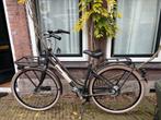 Giant Triple X Damesfiets M - 7 versnellingen, Ophalen, Gebruikt, Giant, Versnellingen