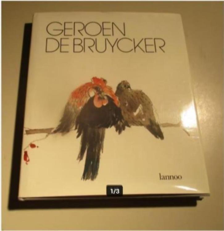 Mooi Kunstboek - Geroen De Bruycker - Lowie Weynants, Boeken, Kunst en Cultuur | Beeldend, Zo goed als nieuw, Ophalen of Verzenden