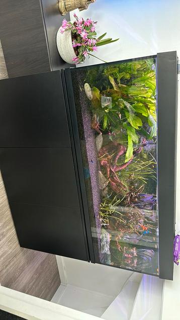 Aquarium 400Lt compleet 