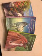 3 kinderboeken van christine linneweever, Ophalen of Verzenden, Zo goed als nieuw, Paarden of Pony's