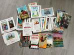 Raz Reading Leveled Books + Audio Pen, Ophalen of Verzenden, Zo goed als nieuw, Fictie algemeen