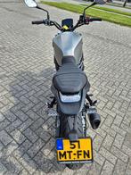 BENELLI LEONCINO 800 (bj 2023), Motoren, Motorrijbewijs A, Bedrijf, Onbekend, BENELLI