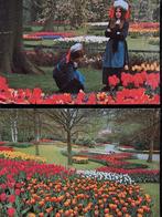 Keukenhof, 2 kaarten., Ophalen of Verzenden, Ongelopen, Noord-Holland