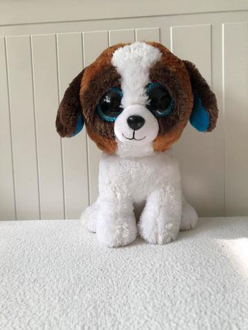 Ty beanie boo Duke, 24cm beschikbaar voor biedingen