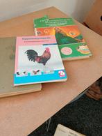 3 kippen boeken 15,00, Dieren en Toebehoren, Pluimvee