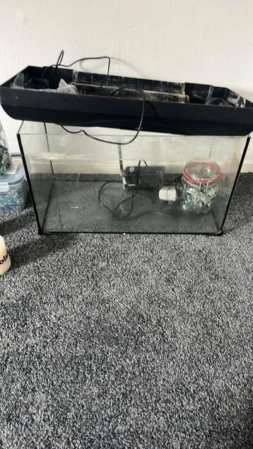 Aquarium beschikbaar voor biedingen