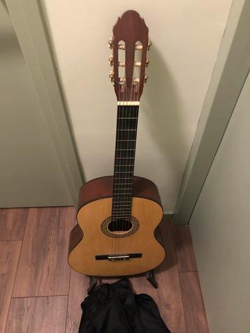 Gitaar met hoes en standaard beschikbaar voor biedingen