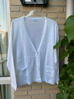 Lucia vest | wit | maat 46, Ophalen of Verzenden, Zo goed als nieuw, Maat 46/48 (XL) of groter, Wit