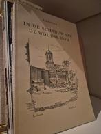 In de Schaduw van de Woudse Dom - P. Kroeger, Ophalen of Verzenden, Gelezen, P. Kroeger