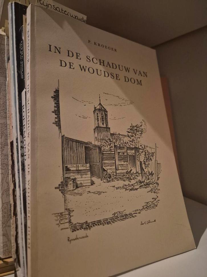 In de Schaduw van de Woudse Dom - P. Kroeger, Boeken, Streekboeken en Streekromans, Gelezen, Ophalen of Verzenden