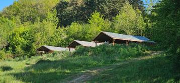 Samen een camping/glamping opzetten in Zuid-Frankrijk! beschikbaar voor biedingen