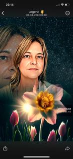 Woning gezocht gemeubileerd in Scheveningen of Den Haag, Huizen en Kamers, Kamers te huur, Den Haag