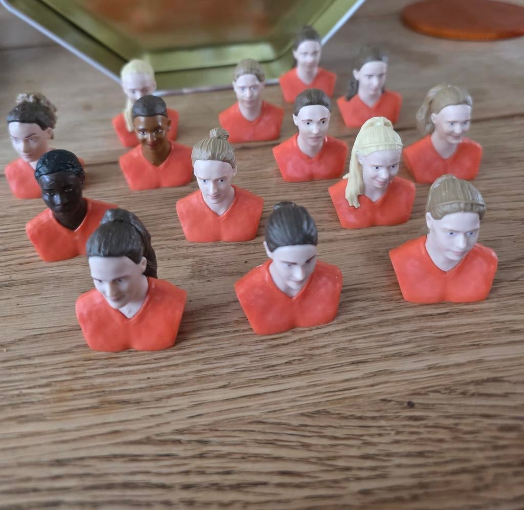 De Oranje leeuwinen, Ophalen of Verzenden