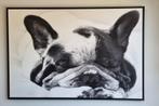 Franse bulldog op canvas, Ophalen