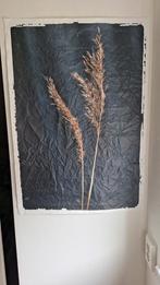 Schilderij met riet, Ophalen of Verzenden