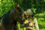 Werkwillige, Bomproof E-pony van 7 jaar, Dieren en Toebehoren, Pony's, Niet van toepassing, 7 tot 10 jaar, Merrie, Gechipt