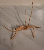 Nano aquarium drift hout voor garnalen, vissen, Dieren en Toebehoren, Vissen | Aquariumvissen, Vis