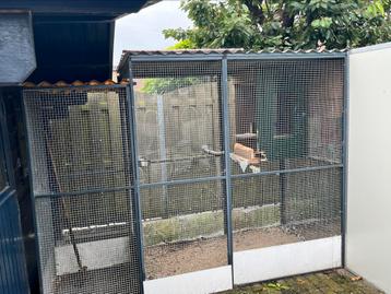 Voliere 3,80 m  lang bij 1,20 m breed  2.00 hoog zie foto,s beschikbaar voor biedingen