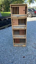 Broedbakken duiven, Ophalen of Verzenden, Zo goed als nieuw, Hout, Vogelkooi
